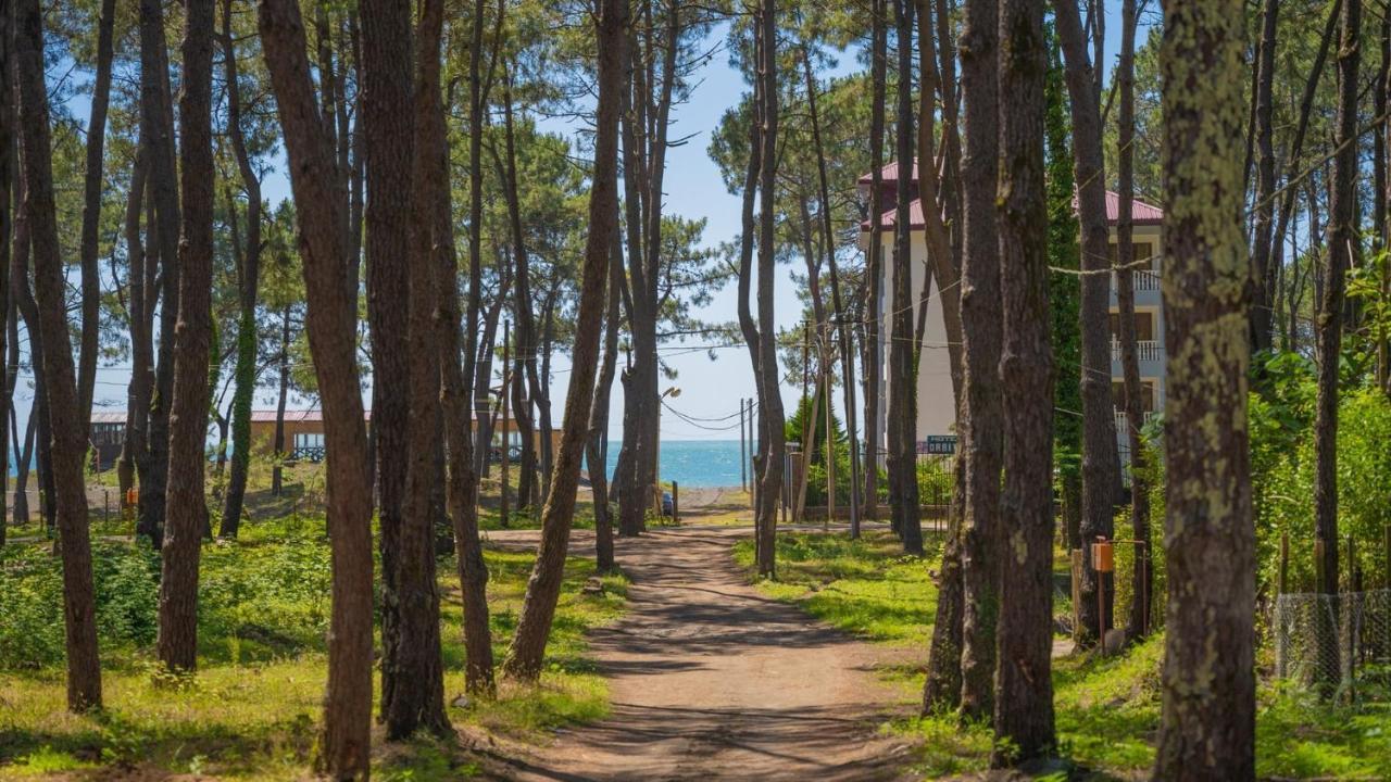 Villa Shekvetili Big Wonder Esterno foto